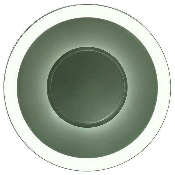 Toolight Toolight, LED stropné svietidlo 40cm, 14W, APP1460, zelená, OSW-04188