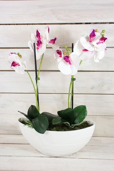 Umelá orchidea v črepníku (v. 49 cm) - bielo-fialová - moderný štýl