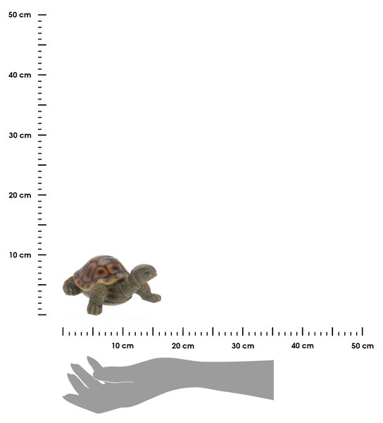 Záhradná figúrka z polistone Turtles, sada 2ks, 10x12,5 cm, viacfarebná