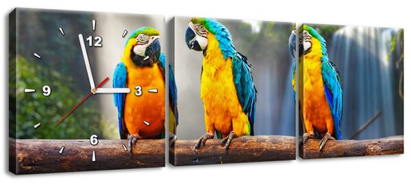 Obraz s hodinami Farebné papagáje - 3 dielny Rozmery: 90 x 30 cm