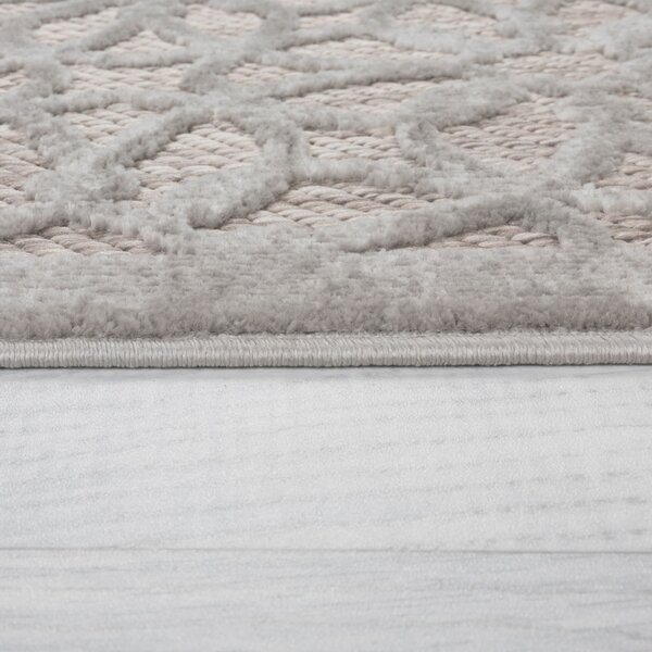 Flair Rugs , Kusový koberec Piatto Argento Silver – na von aj na doma, 80x150, šedá, chodba / predsieň