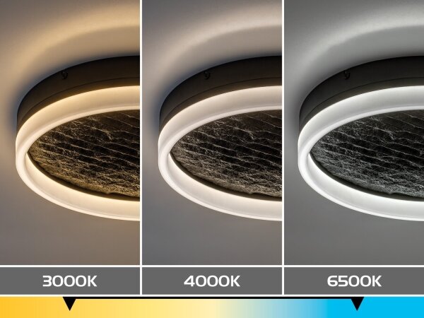 Rabalux 71523 - LED stmievateľné stropné svietidlo TIMMO 24W/230V 3000-6500K pr. 40 cm čierna s diaľkovým ovládaním