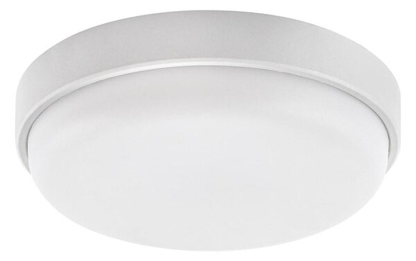 Rabalux 77224 - LED Vonkajšie stropné svietidlo HORT2 LED/14W/230V IP54 biela