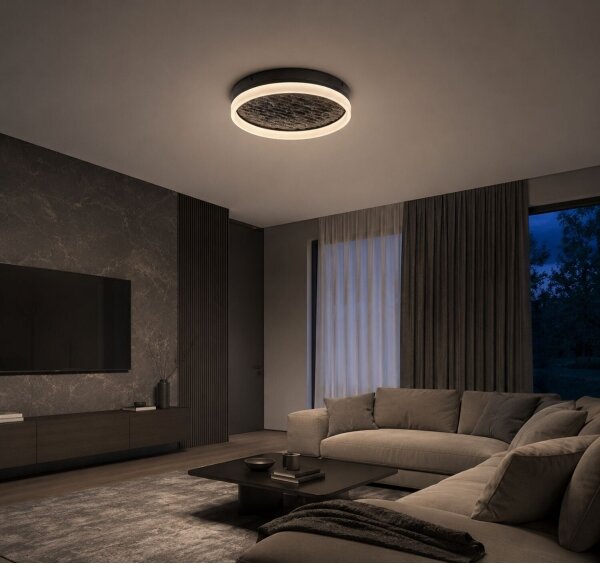 Rabalux 71523 - LED stmievateľné stropné svietidlo TIMMO 24W/230V 3000-6500K pr. 40 cm čierna s diaľkovým ovládaním