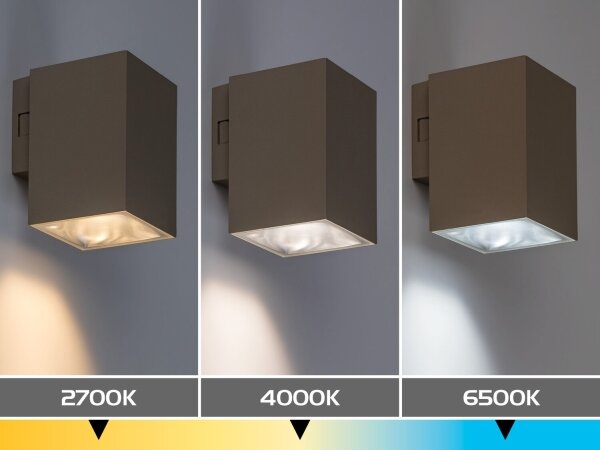 Rabalux 77216 - LED zunanja stenska svetilka URFA 9W/230V 2700/4000/6500K IP65