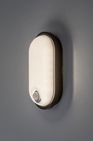 Rabalux 77231 - LED vonkajšie stropné svietidlo so snímačom HORT2 15W/230V IP65 čierne