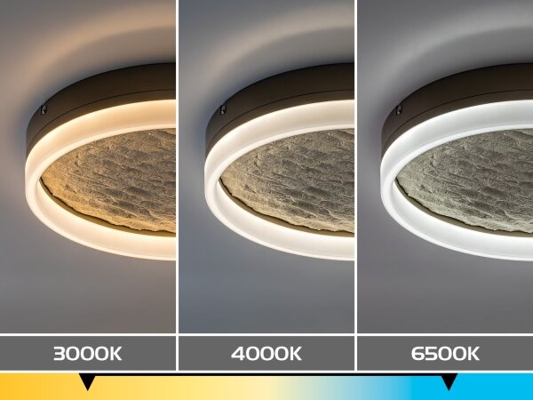 Rabalux 71525 - LED stmievateľné stropné svietidlo TIMMO 24W/230V 3000-6500K priemer 40 cm béžová + diaľkové ovládanie