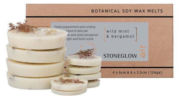 Vonný vosk do aromalampy Wild Mint/Bergamot – 10 ks, 124 g