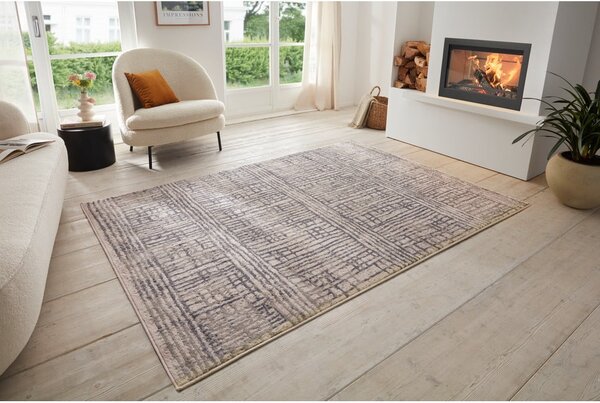 Sivý koberec 80x120 cm Terrain – Hanse Home