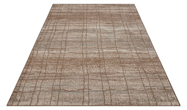 Hnedý/béžový koberec 80x120 cm Terrain – Hanse Home