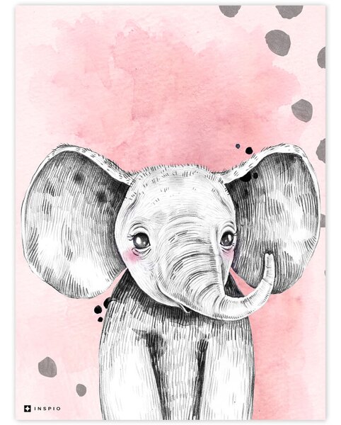 INSPIO-dibondový obraz - Obraz do detskej izby - Farebný so slonom