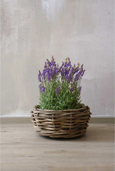 Přírodní květináč na rostliny BOJO, ratan, priemer 56 cm, natur