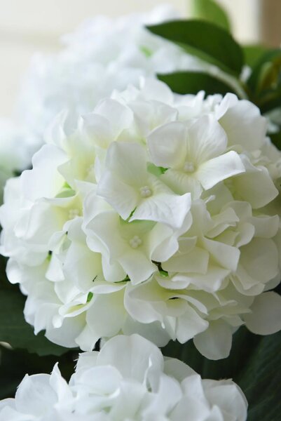 Umelá hortenzia HYDRANGEA v bielom kvetináči, výška 78 cm, modro - biela