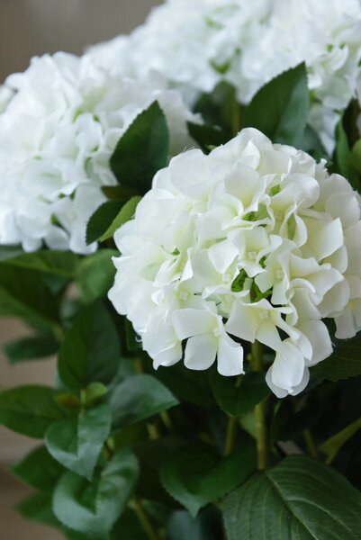 Umelá hortenzia HYDRANGEA v bielom kvetináči, výška 78 cm, modro - biela