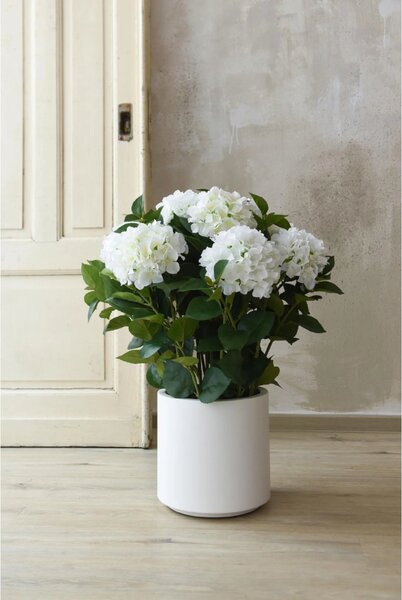 Umelá hortenzia HYDRANGEA v bielom kvetináči, výška 78 cm, modro - biela