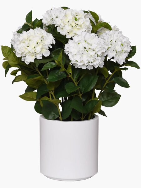 Umelá hortenzia HYDRANGEA v bielom kvetináči, výška 78 cm, modro - biela