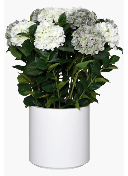 Umelá hortenzia HYDRANGEA v bielom kvetináči, výška 90 cm, modro - biela