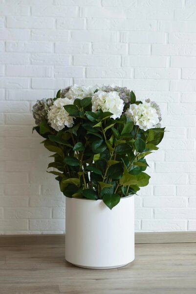 Umelá hortenzia HYDRANGEA v bielom kvetináči, výška 90 cm, modro - biela