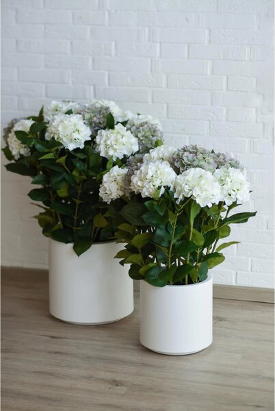 Umelá hortenzia HYDRANGEA v bielom kvetináči, výška 90 cm, modro - biela