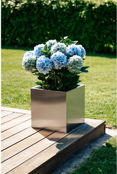 Eshop-kvetinace.sk Umelá hortenzia HYDRANGEA v bielom kvetináči, výška 78 cm, modrá