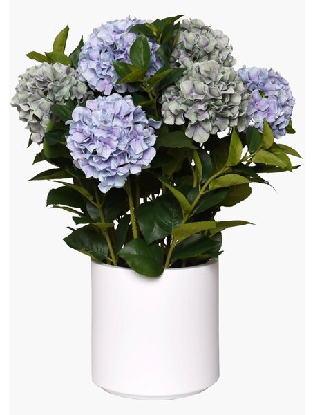 Eshop-kvetinace.sk Umelá hortenzia HYDRANGEA v bielom kvetináči, výška 78 cm, modrá