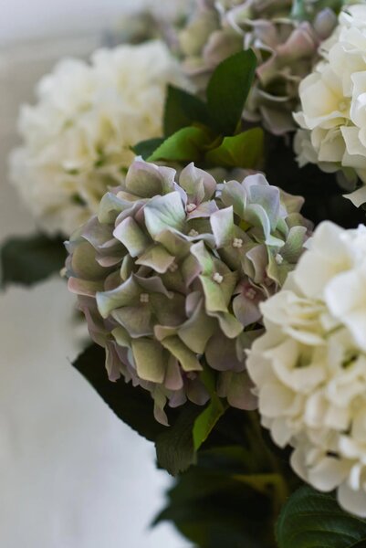 Umelá hortenzia HYDRANGEA v bielom kvetináči, výška 90 cm, modro - biela