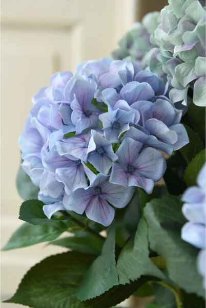 Eshop-kvetinace.sk Umelá hortenzia HYDRANGEA v bielom kvetináči, výška 78 cm, modrá
