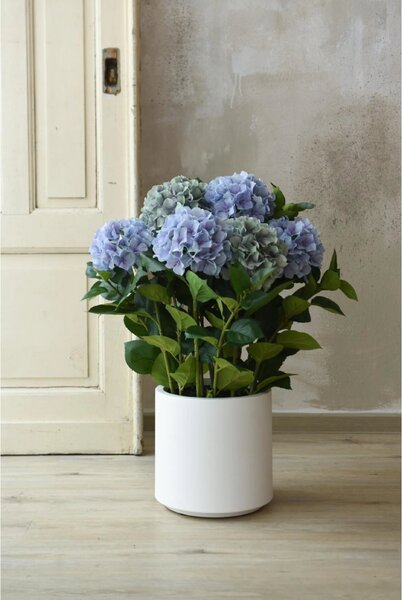 Eshop-kvetinace.sk Umelá hortenzia HYDRANGEA v bielom kvetináči, výška 78 cm, modrá