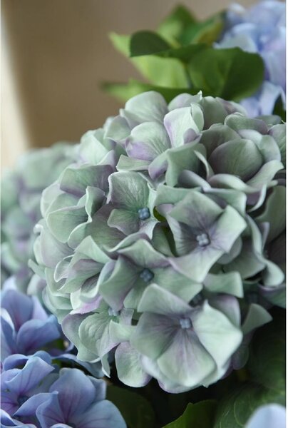 Eshop-kvetinace.sk Umelá hortenzia HYDRANGEA v bielom kvetináči, výška 78 cm, modrá