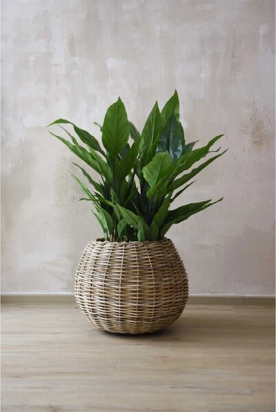 Prírodný kôš na rastliny PALLA, ratan, priemer 55 cm, natur