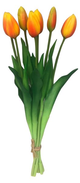 TULIPÁN tulipán 44 cm - Kvety & kvetináče