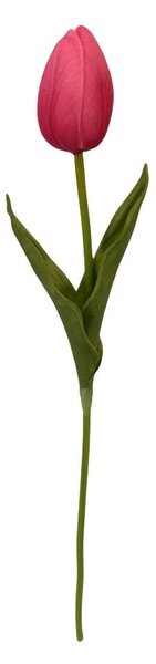 TULIPÁN tulipán 36 cm - Kvety & kvetináče