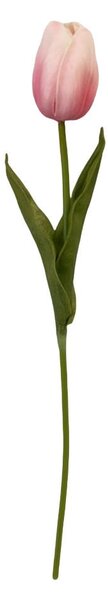 TULIPÁN tulipán 36 cm - Kvety & kvetináče