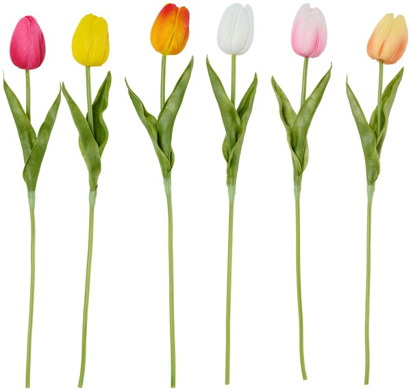 TULIPÁN tulipán 36 cm - Kvety & kvetináče