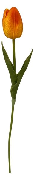 TULIPÁN tulipán 36 cm - Kvety & kvetináče