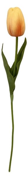 TULIPÁN tulipán 36 cm - Kvety & kvetináče