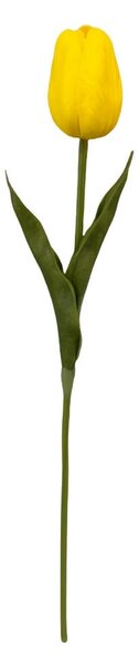 TULIPÁN tulipán 36 cm - Kvety & kvetináče