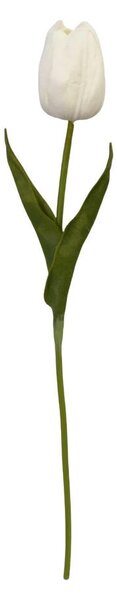 TULIPÁN tulipán 36 cm - Kvety & kvetináče