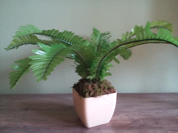Umelá rastlina- Papraď 40 cm