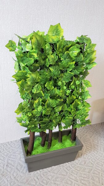 Zástena z listov viniča- 120 cm x 60 cm