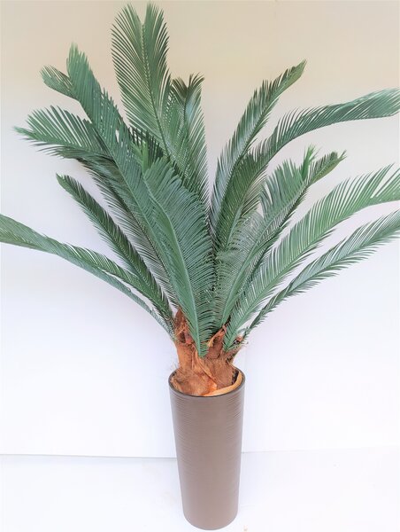 Umelá rastlina Cykas 175 cm
