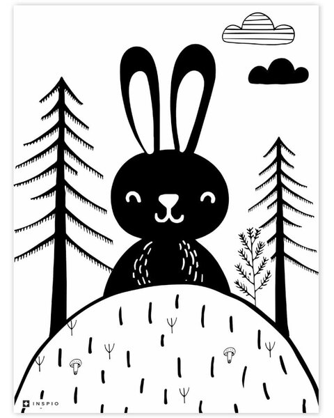 INSPIO-dibondový obraz - Obraz na stenu - Čiernobiely zajko v lese