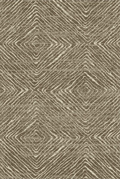 Alfa Carpets Kusový koberec Ethno brown - 120x170 cm