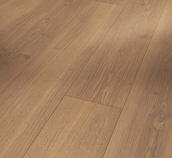 PARADOR Trendtime 6 Dub studioLine medový 1744708 - 2.67 m2