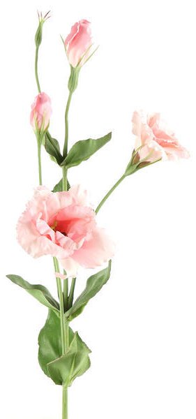 Eustoma - Lisianthus umelý kvet ružová