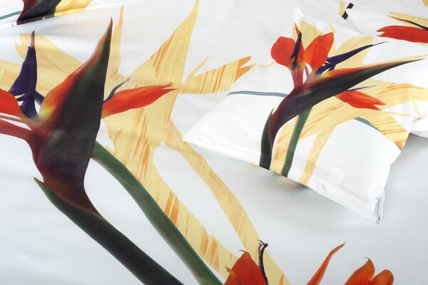 Glamonde luxusné obliečky Strelitzia s realistickou fotkou žltých Strelícií! Jednoduché a predsa úchvatné! 140×200 cm