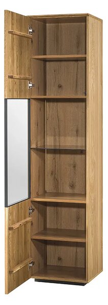 Szynaka Vitrína s LED osvětlením Minura 10 45 cm z masivu dub přírodní