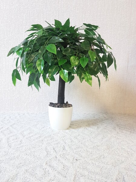Umelý strom- fikus benjamin 50cm