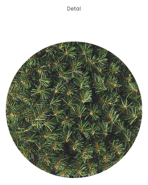 Veniec kráľovský 100cm