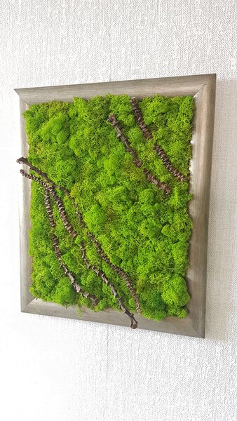 Machový obraz 48 cm x 38 cm